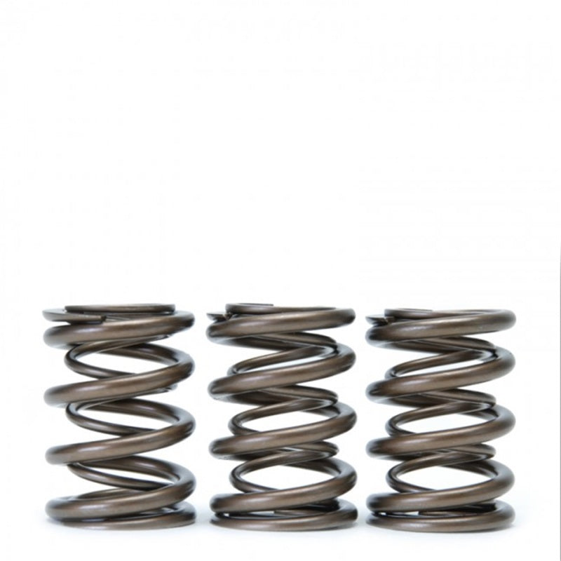 Skunk2 Tuner Series Honda/Acura (h22a/f20b) Dohc Vtec Alpha Valve Spring Set (Dual Springs) - Mammoth Racing -