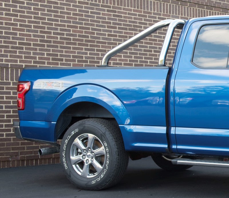 EGR 15-20 Ford F-150 S-Series Polished Stainless Sports Bar - My Store