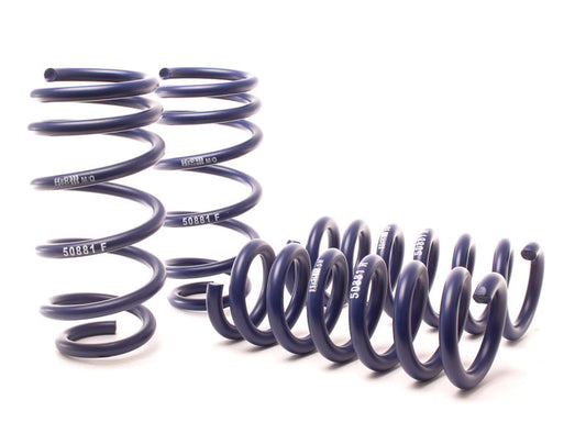 H&R 11-14 Dodge Charger RT (awd) Max/Plus V8 Sport Spring