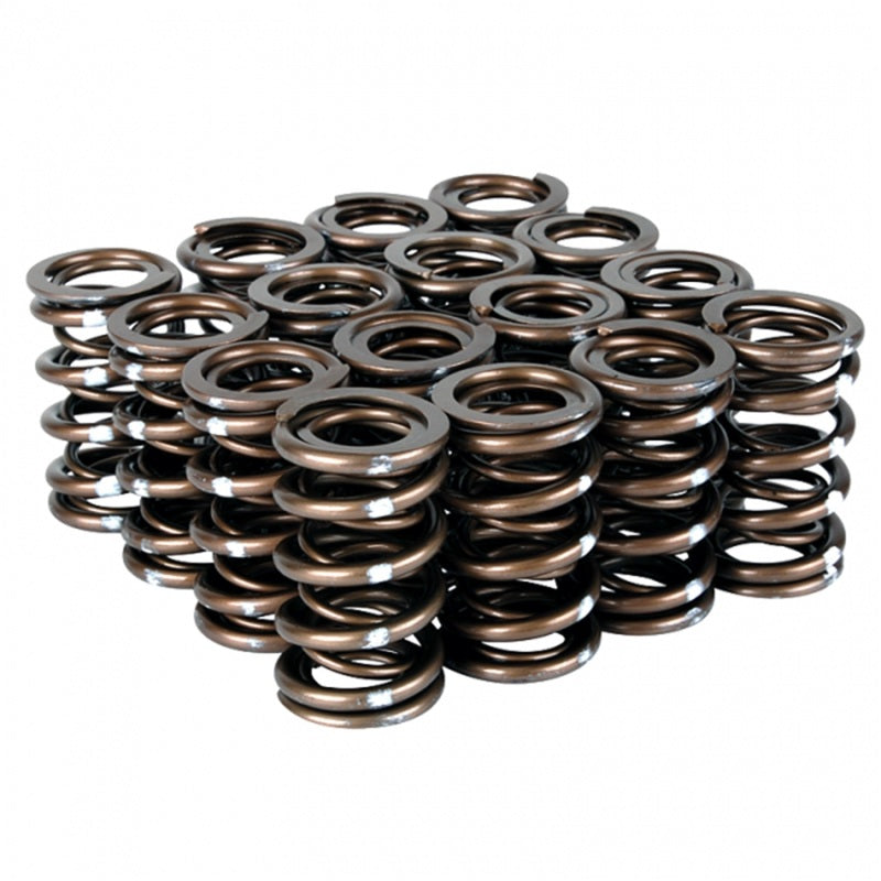 Skunk2 Pro Series Honda/Acura K-Series i-VTEC XP Valve Spring Set (Dual Springs) - Mammoth Racing -
