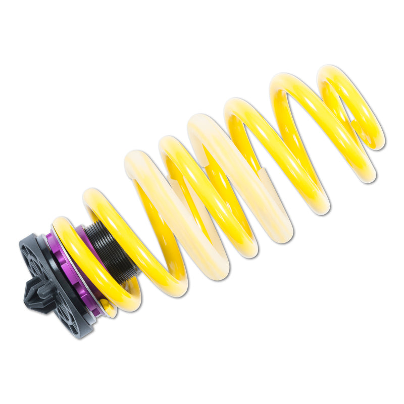 KW H.A.S. Ausi RS5 w/ DRC - Mammoth Racing -