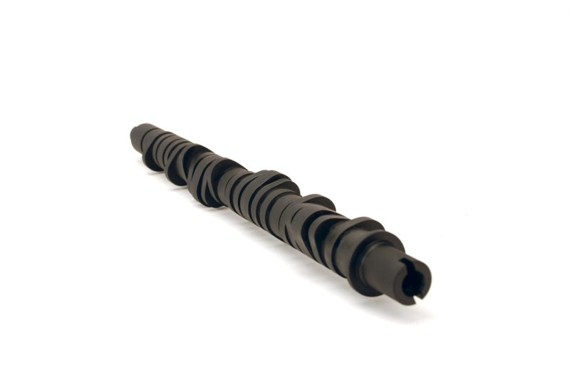 Skunk2 Tuner Series D-Series Honda Stage 4 Camshaft - Mammoth Racing -