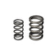 Skunk2 Tuner Series Honda/Acura (b16a/ B17a/ B18c) Dohc Vtec Alpha Valve Spring Set (Dual Springs) - Mammoth Racing -