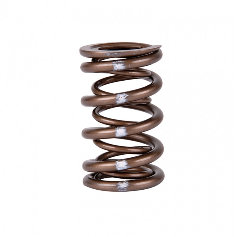 Skunk2 Pro Series Honda/Acura K-Series i-VTEC XP Valve Spring Set (Dual Springs) - Mammoth Racing -
