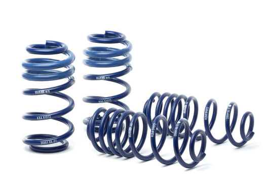 H&R 09-16 Audi A4/a4 Quattro/S4 (2wd/4wd) B8 OE Sport Spring - My Store