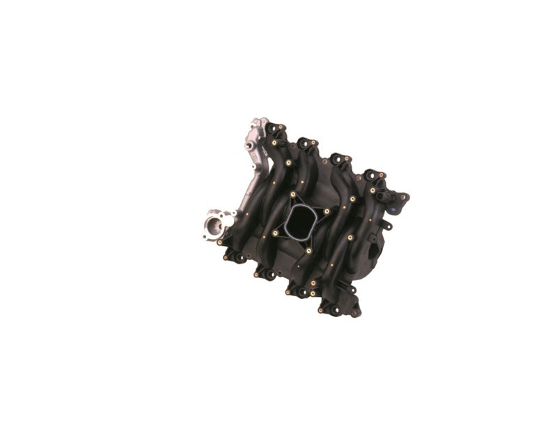 Ford Racing 4.6L Performance Improvement (PI) Intake Manifold - Mammoth Racing -