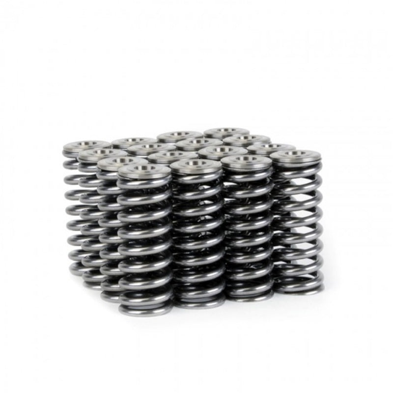 Skunk2 Alpha Series Honda/Acura D Series Valve Spring and Titanium Retainer Kit - Mammoth Racing -