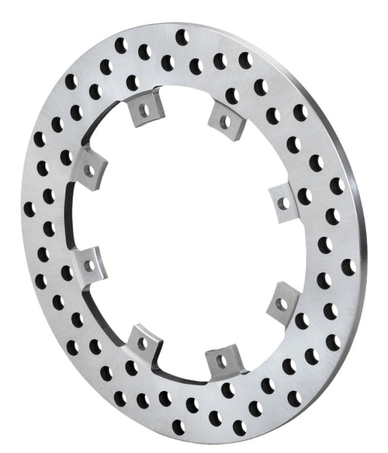 Wilwood Super Alloy Drilled Rotor - 8x7.00in - My Store