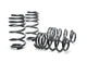 H&R 03-04 Audi Rs6/rs6 Avant (awd) Sport Spring - My Store