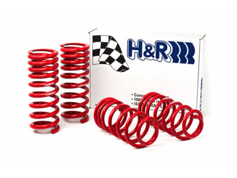 H&R 94-95 Ford Mustang/Mustang Cobra V8 Race Spring - My Store