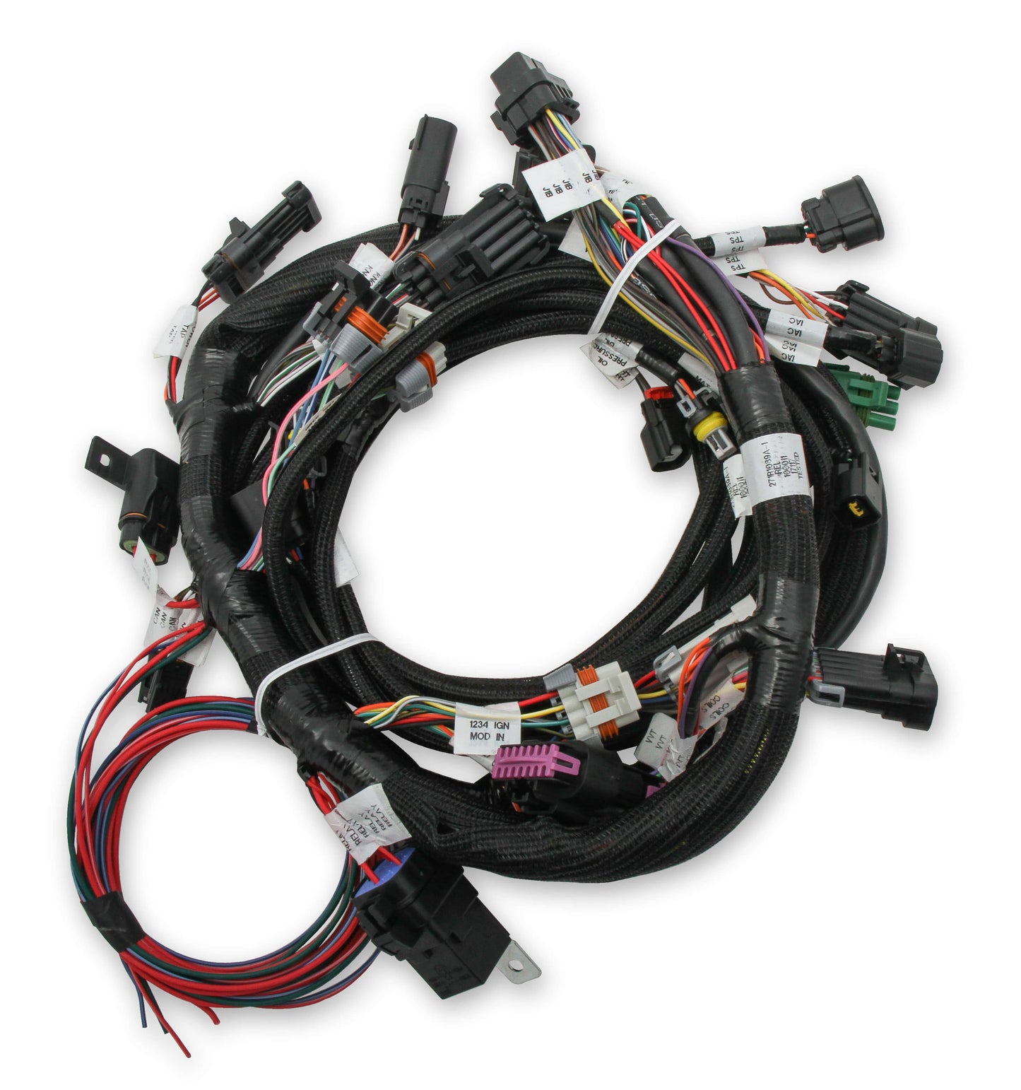 Holley 558110 Harness - My Store