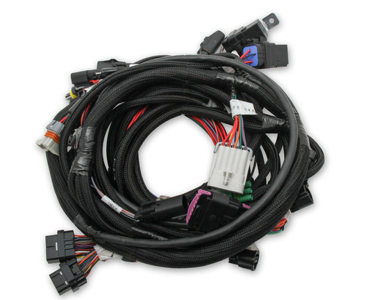 Holley 558122 Harness