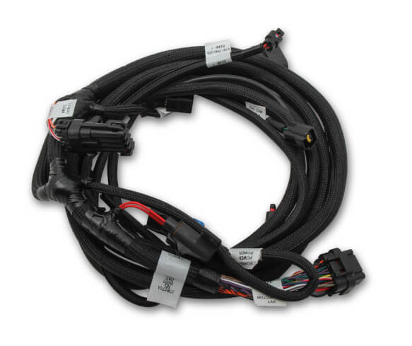 Holley 558124 Harness - My Store