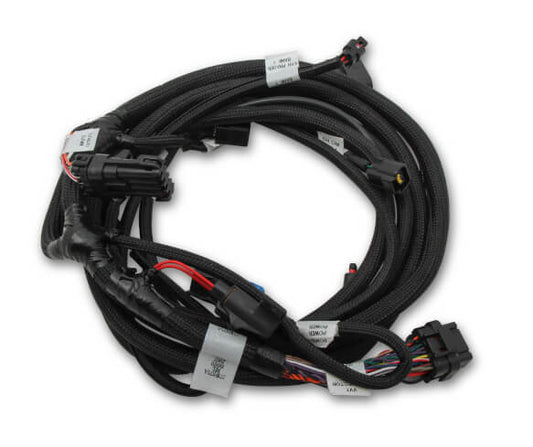 Holley 558124 Harness