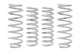 Eibach Drag Launch Kit (Competition Springs) for 2015-2020 Dodge Challenger SRT Hellcat - My Store