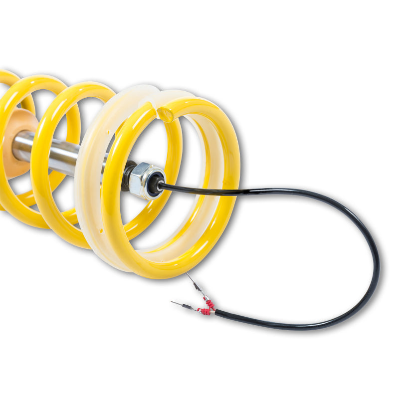 KW Coilover Kit DDC ECU BMW M4 (F82) Coupe - Mammoth Racing -