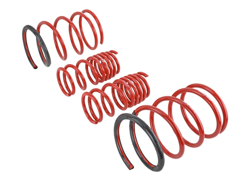 Skunk2 01-05 Honda Civic Lowering Springs (2.25in - 2.00in.) (Set of 4) - Mammoth Racing -