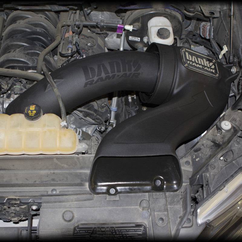Banks Power 15-17 Ford F-150 5.0L Ram-Air Intake System - Dry Filter - Mammoth Racing -
