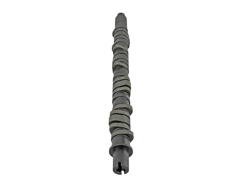 Skunk2 Tuner Series D-Series Honda Stage 4 Camshaft - Mammoth Racing -