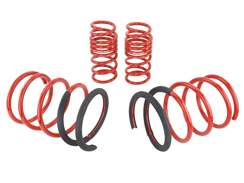 Skunk2 02-04 Acura RSX Lowering Springs (2.25in - 2.00in.) (Set of 4) - Mammoth Racing -