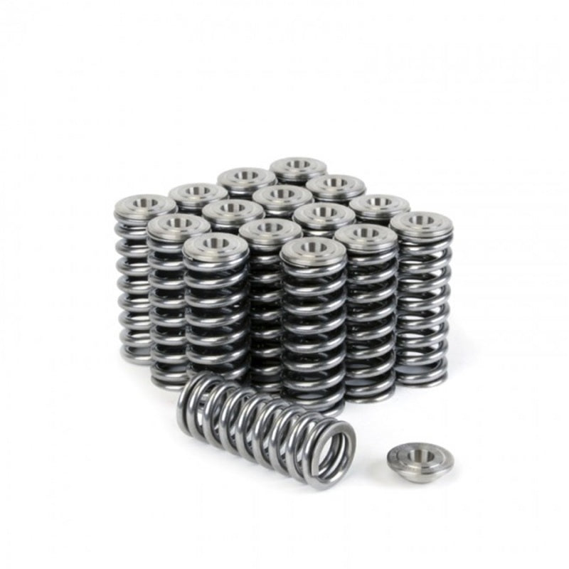 Skunk2 Alpha Series Honda/Acura D Series Valve Spring and Titanium Retainer Kit - Mammoth Racing -
