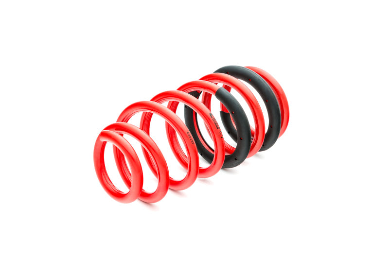 Eibach Pro-Kit for 2015+ Dodge Challenger SRT-8 Hellcat - My Store