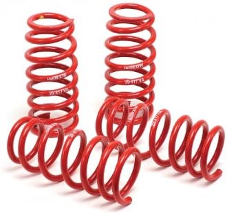H&R Springs 54715-88 H&R Race Springs - My Store
