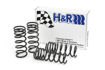 H&R Springs 29487-1 H&R Race Springs - My Store