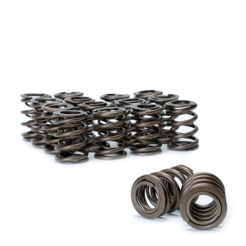 Skunk2 Tuner Series Honda/Acura (h22a/f20b) Dohc Vtec Alpha Valve Spring Set (Dual Springs) - Mammoth Racing -
