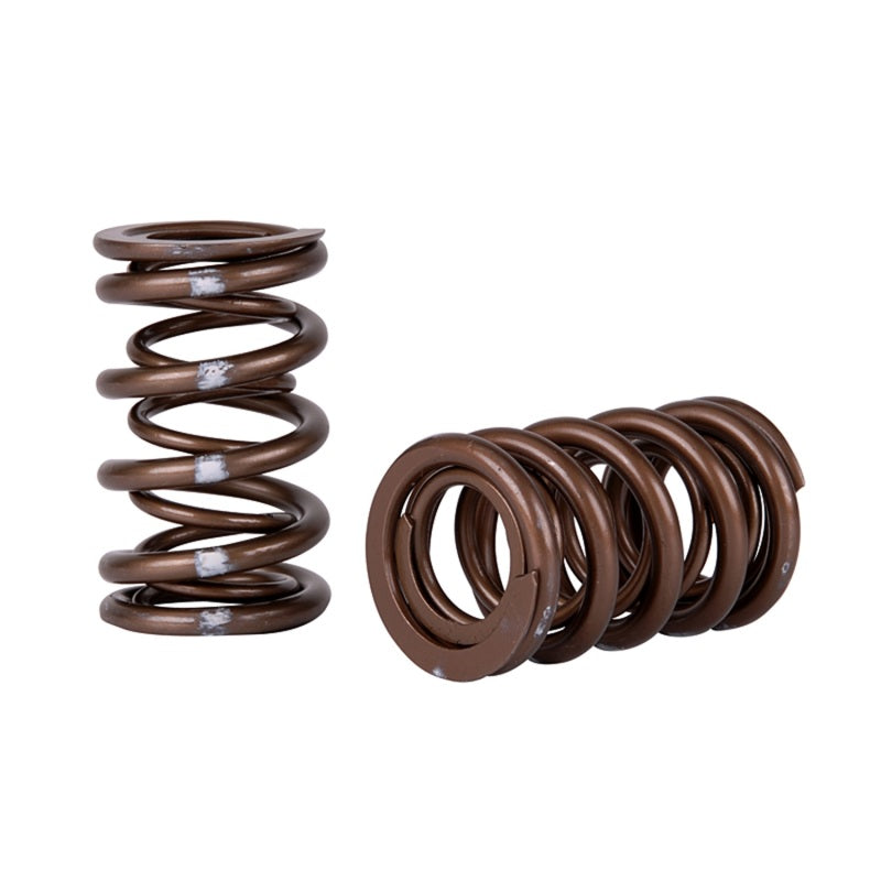Skunk2 Pro Series Honda/Acura K-Series i-VTEC XP Valve Spring Set (Dual Springs) - Mammoth Racing -