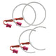 Oracle Dodge Ram 06-08 LED Halo Kit - White - Mammoth Racing -