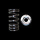 Brian Crower Toyota 3URFE Single Spring & Titanium Retainer Kit - Mammoth Racing -