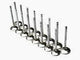 Brian Crower Mitsubishi 4B11T Evolution X 35mm Intake Valves - Mammoth Racing -