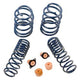 Ford Racing 2012-2013 BOSS 302 Lowering Springs - Mammoth Racing -