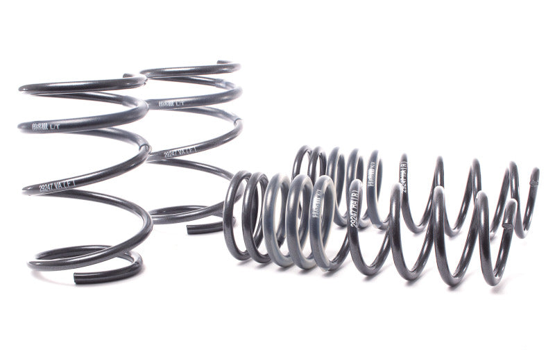 H&R 04-06 BMW 525i/530i/545i E60 Race Spring (w/o Self Leveling) - My Store