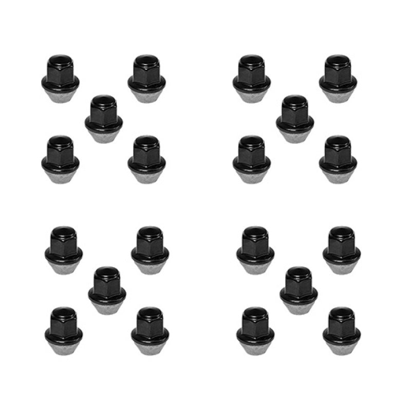 Ford Racing M12 x 1.5 Black Lug Nut - Set of 20 - Mammoth Racing -