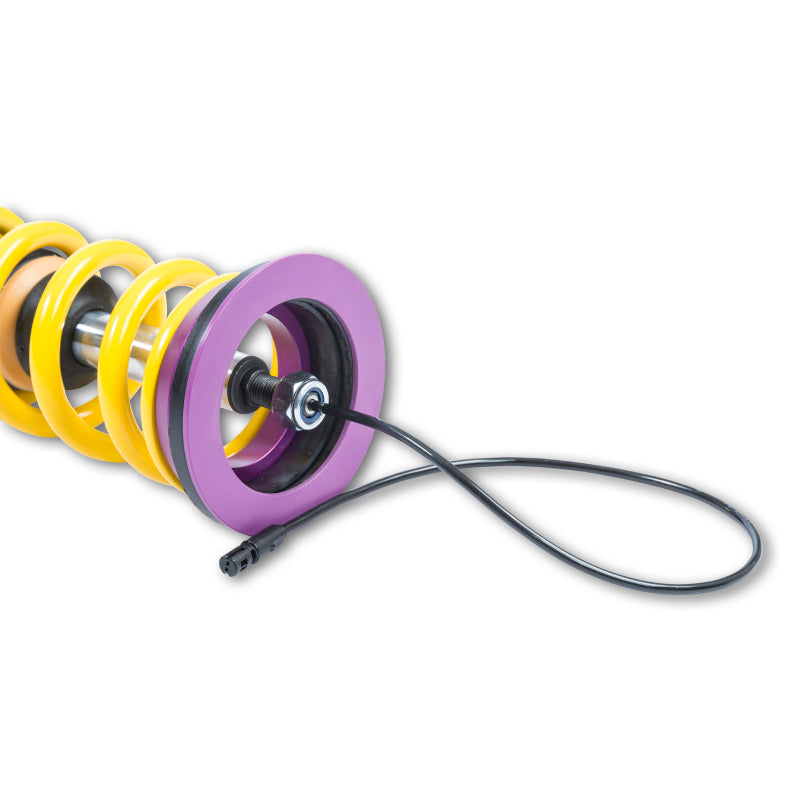 KW Coilover Kit DDC 2017+ Ford Focus RS - Mammoth Racing -
