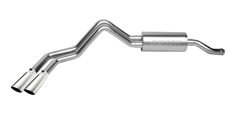 Gibson 98-00 Ford F-150 Base 4.2l 2.25in Cat-Back Dual Sport Exhaust - Stainless - Mammoth Racing -