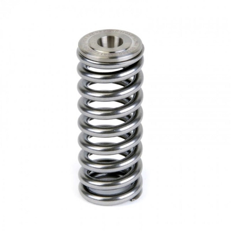 Skunk2 Alpha Series Honda/Acura D Series Valve Spring and Titanium Retainer Kit - Mammoth Racing -