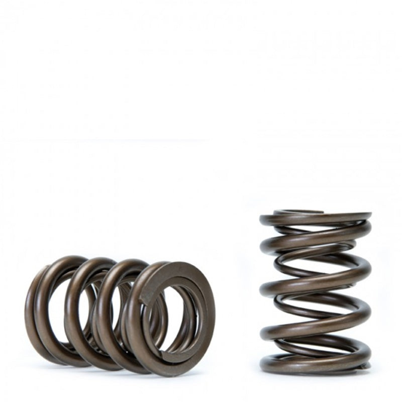 Skunk2 Tuner Series Honda/Acura (h22a/f20b) Dohc Vtec Alpha Valve Spring Set (Dual Springs) - Mammoth Racing -