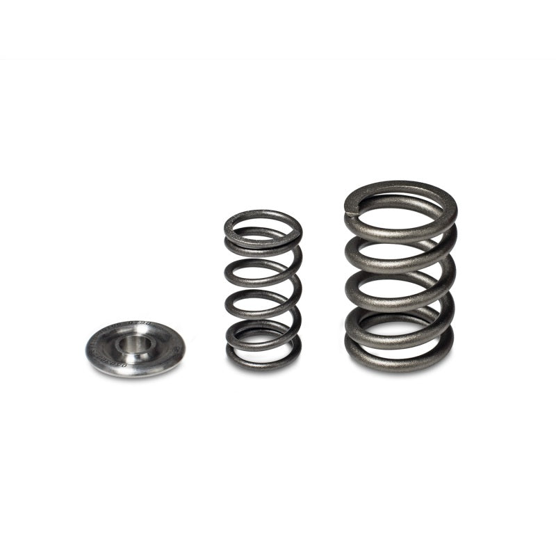 Skunk2 Alpha Series Honda/Acura H Series Valve Spring and Titanium Retainer Kit - Mammoth Racing -