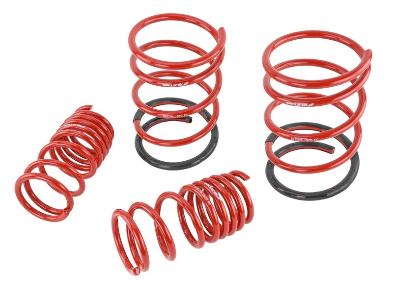 Skunk2 01-05 Honda Civic Lowering Springs (2.25in - 2.00in.) (Set of 4) - Mammoth Racing -
