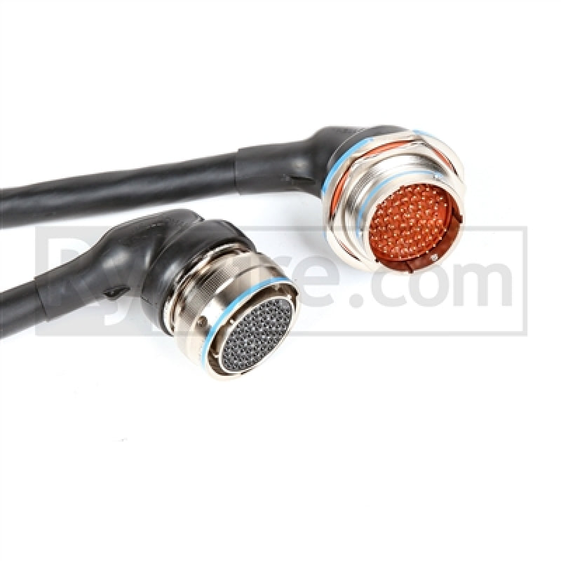 Rywire Honda F/H-Series Mil-Spec Eng Harn w/OBD1 Dist/Inj/Alt & 92-95 Plugs (Adapter/Plug Color Req) - Mammoth Racing -