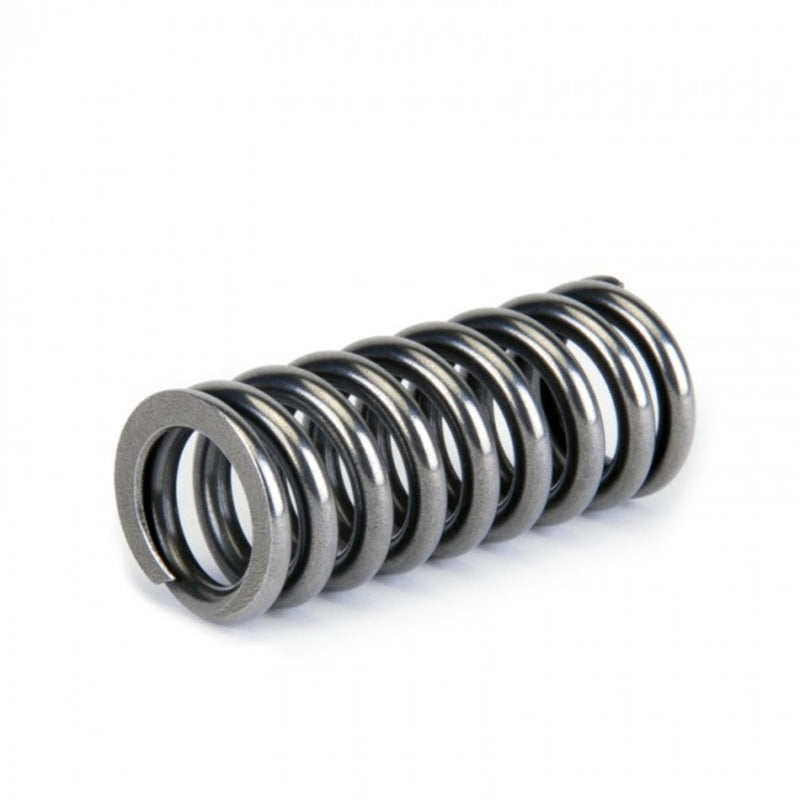 Skunk2 Alpha Series Honda D Series Vtec Valve Spring Set - Mammoth Racing -