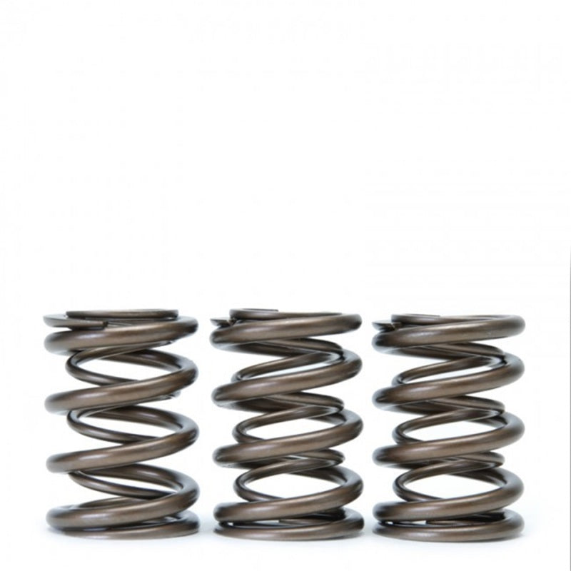 Skunk2 Tuner Series Honda/Acura (b16a/ B17a/ B18c) Dohc Vtec Alpha Valve Spring Set (Dual Springs) - Mammoth Racing -