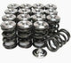 GSC P-D 4B11T / 4B11 Theta Beehive Valve Springs w/ Titanium Retainer Valvetrain Kit (Use factory s - GT3 Racing