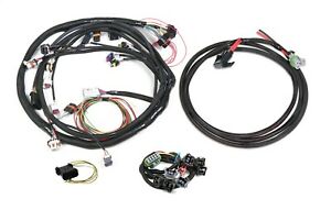 Holley EFI 558-508 Injector Harness Fits w/Dominator Or HP ECU Bosch Injector Incl. - My Store