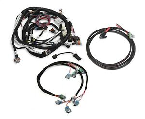 Holley EFI 558-501 Fuel Injection Wire Harness For Use w/HP Or Dominator - My Store