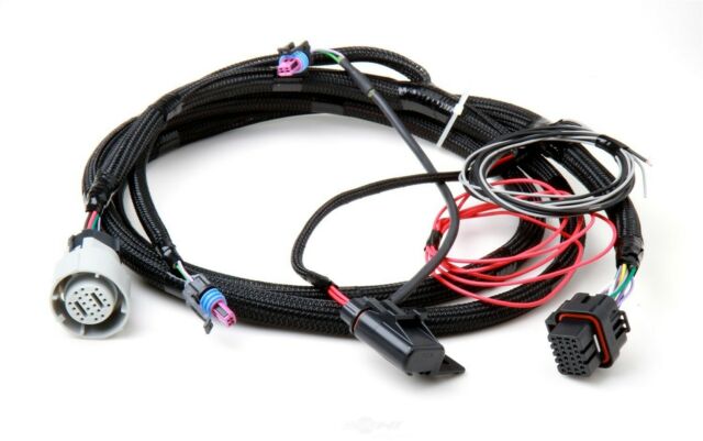 Holley 558-405 Fuel Injection Wire Harness - My Store
