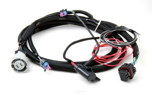 Holley 558-405 Fuel Injection Wire Harness